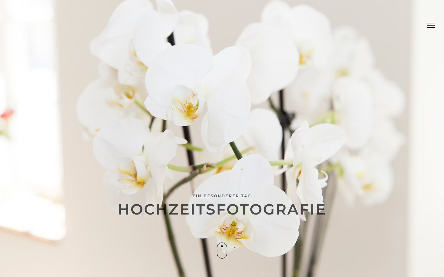 Startseite von Fotografie Offenburg